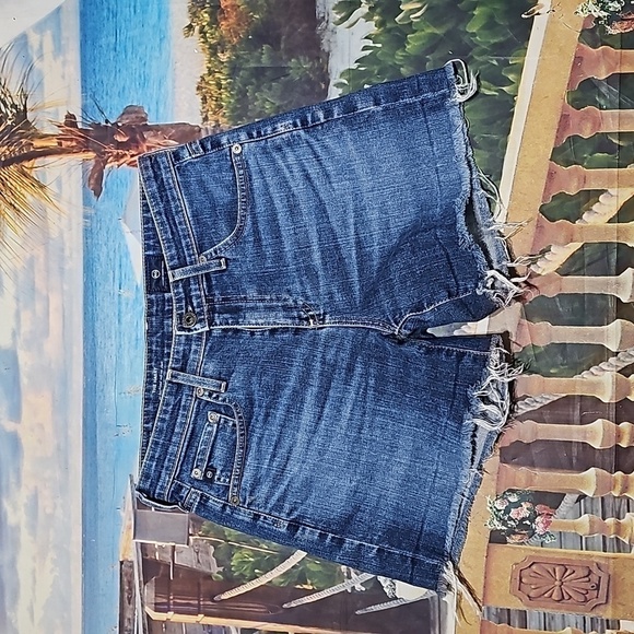 Ag Adriano Goldschmied Hailey Ex Boyfriend Frayed Hem Denim Shorts Size 25 - Picture 1 of 5